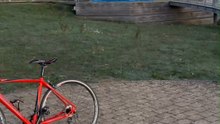 15 traversées de la Manche effectuées pour la bonne cause à la piscine de Virton