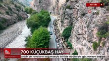 Artvin'de yaylalardan dönüş başladı