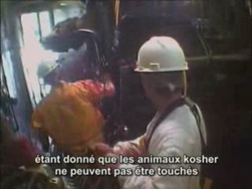 Bestialités 2