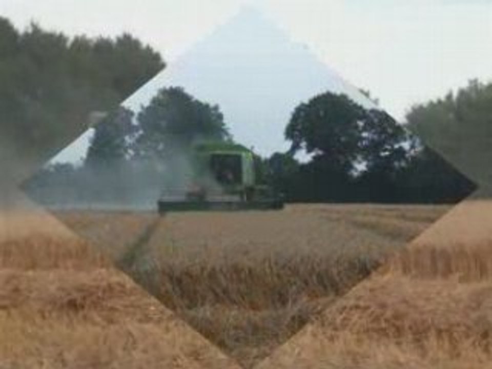 MoiSSon 2008 1er PaRTie