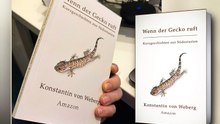 Wenn der Gecko ruft - Kurzgeschichten aus Südostasien