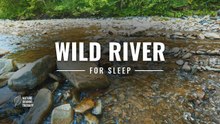 Water Sounds for Sleep · Bieszczady Mountain River