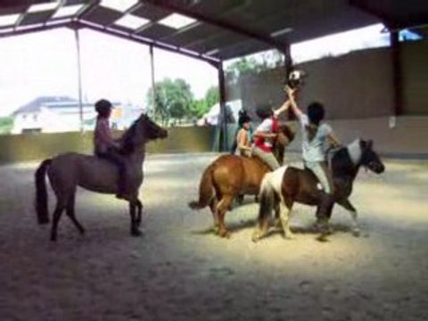 horse ball poneys