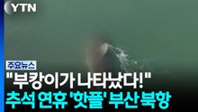 "부캉이가 나타났다!"...추석 연휴 '핫플' 부산 북항 / YTN