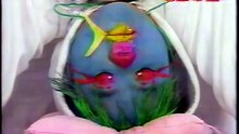 63回7番 熱帯魚