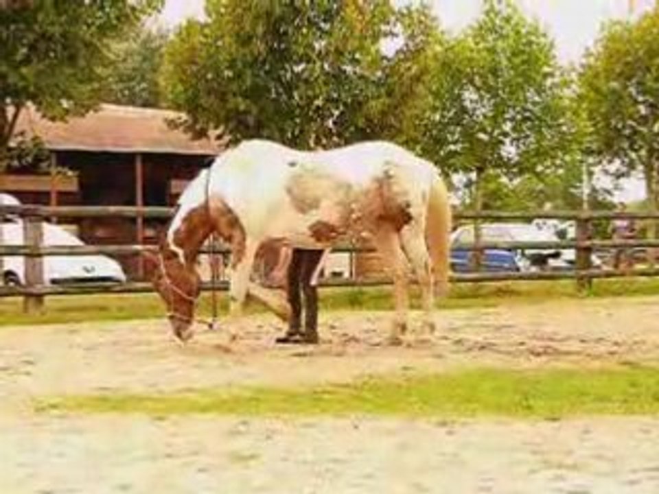 assis coucher mira malcom