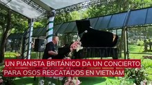 Un pianista británico da un concierto para osos rescatados en Vietnam