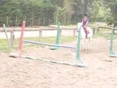 cléa es estelle saut