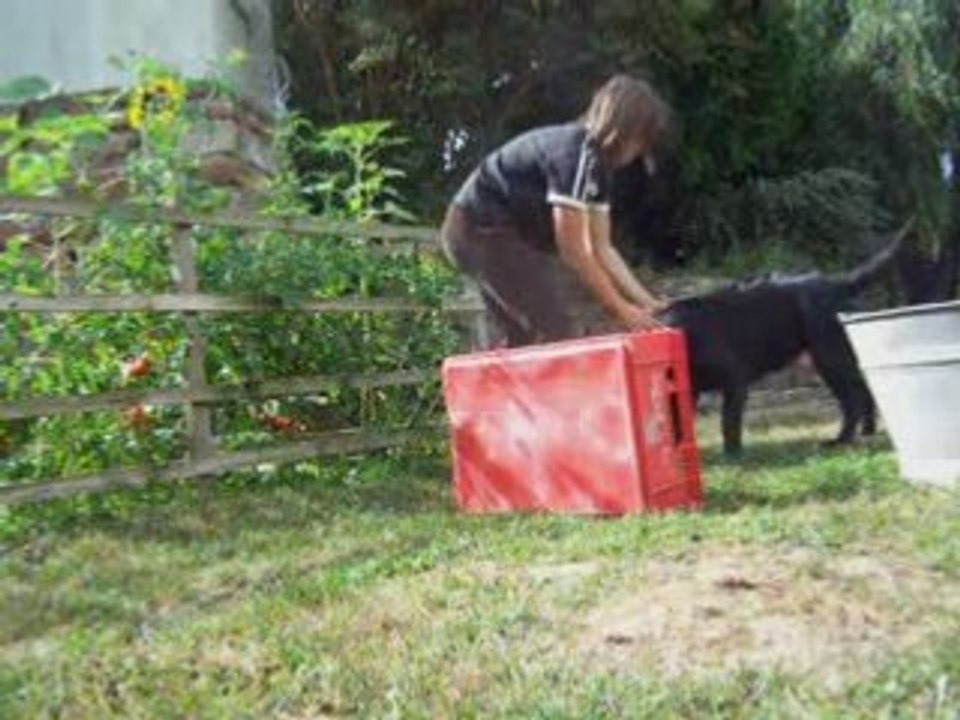 Les tours de bassaï =)
