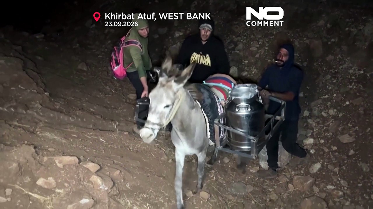 Westjordanland: hirten transportieren nachts milch mit eseln durch gräben