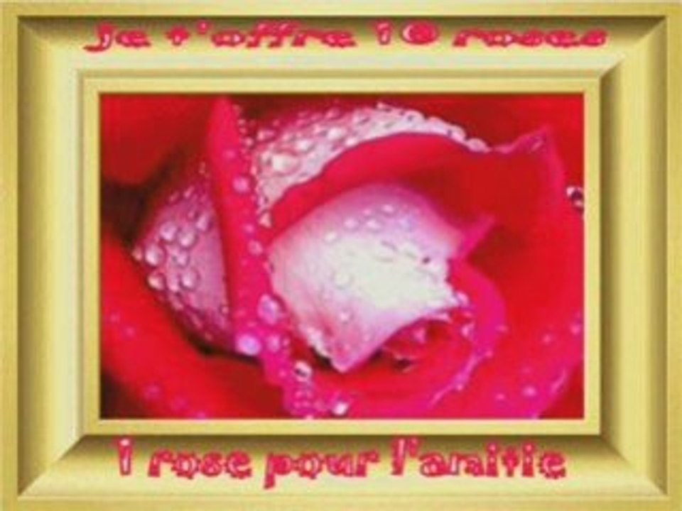 Amitié réalité*