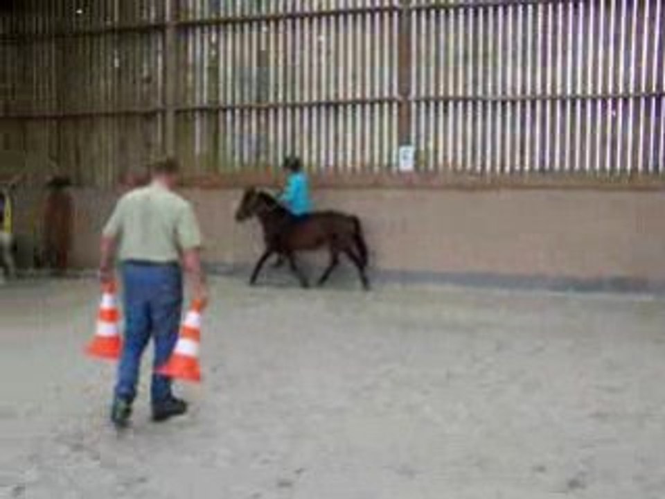 horse ball
