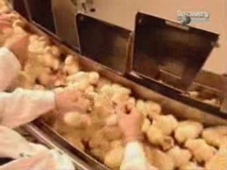 Poussinsdurevie