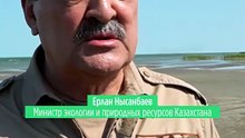 В Казахстане впервые за 70 лет в дикую природу выпустили тигра