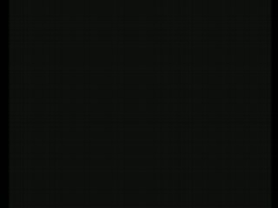 Foire aux vins 2008: l'inauguration.