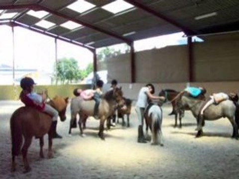 horse ball poneys