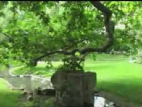 Square des batignolles