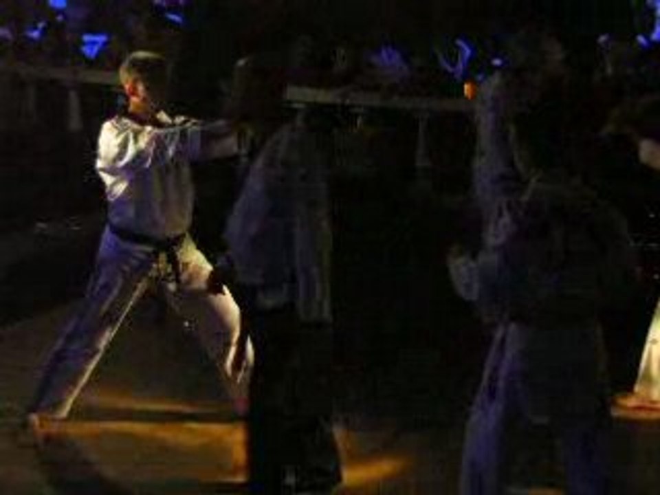 2008_06_28_colletot_laplak_arts-martiaux_videos (02)