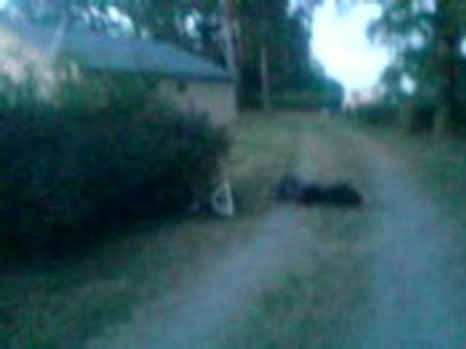 ben killing