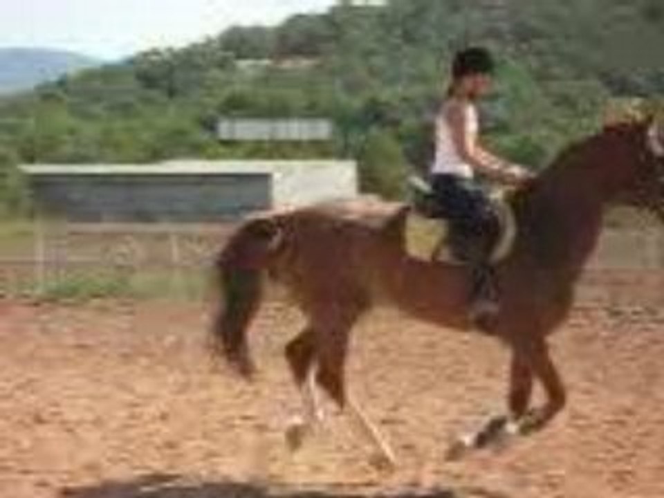 saut(2)
