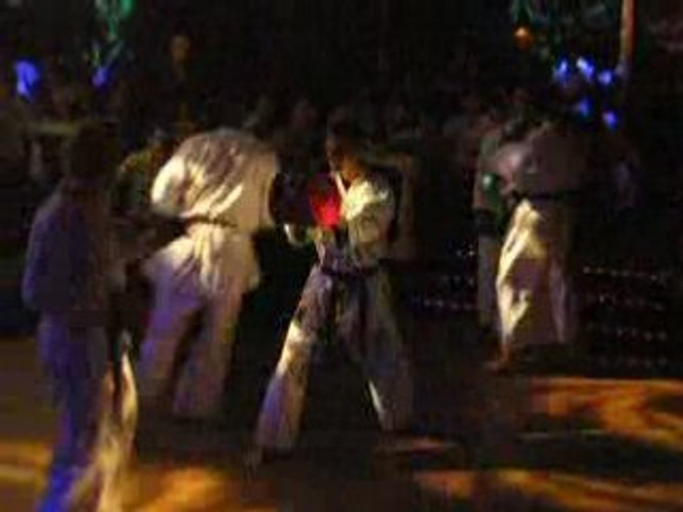 2008_06_28_colletot_laplak_arts-martiaux_videos (19)