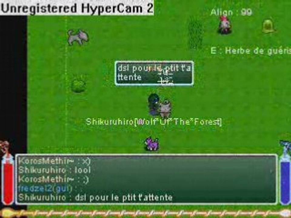 Slayers Online - Shikuruhiro et Fredzel2