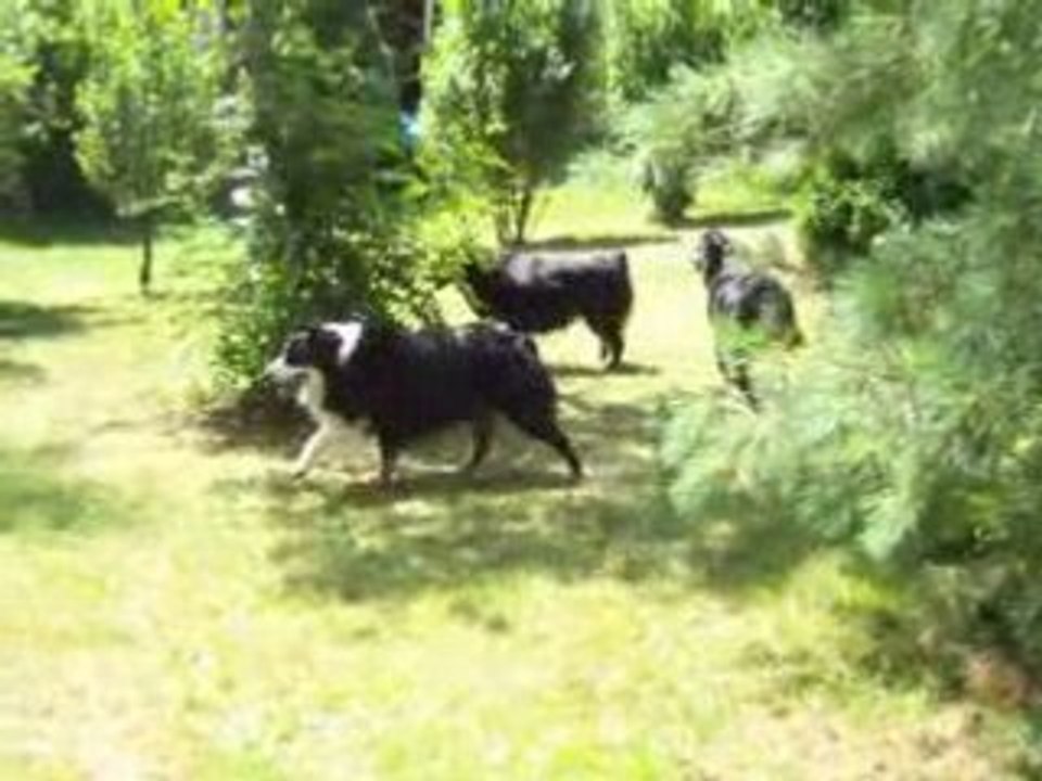 Juillet 2008
