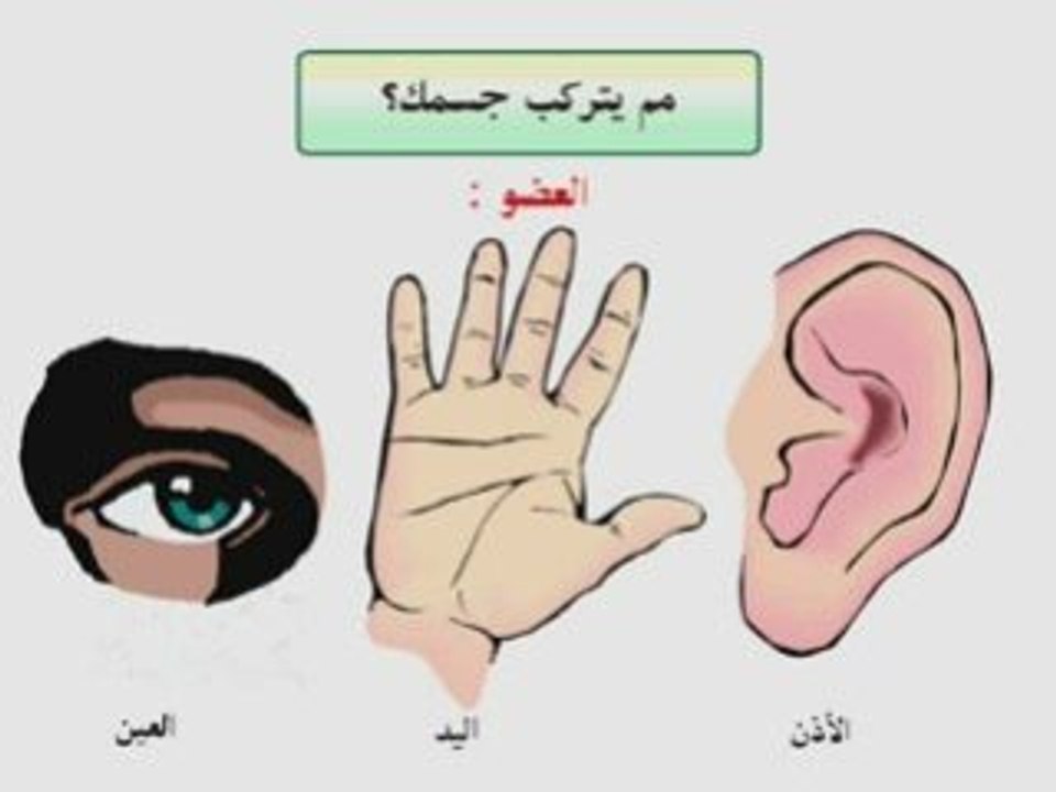 Chelovek islam kids