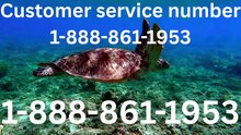 Complete™ American Airlines CUSTOMER© SERVICE℗ Assistance List: A Guide to Live Agent Help