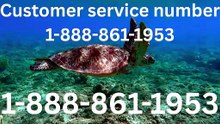 Master™ List of United Airlines CUSTOMER© SERVICE℗ Contacts: Complete Support Guidance