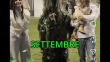 Gli scherzi della pianta finta