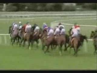 Give Thanks Stakes (Gr3) 080808 (Unsung Heroine)