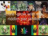 Sizzla kalonji & jah cure grow with me riddim par jahilos