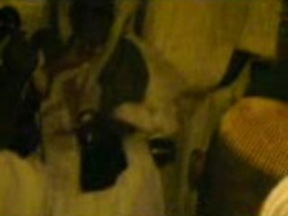 Sheikh Tijani Ibrahim Niass' Visit To Ghana 2008-3