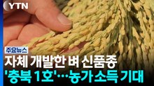 자체 개발한 벼 신품종 '충북 1호'...농가 소득 기대 / YTN