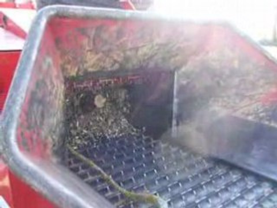 plaquette bois forestiere