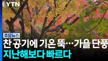 [날씨] 찬 공기에 기온 뚝...가을 단풍, 지난해보다 빠르다 / YTN