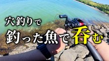 干潮の石積み穴釣りでキジハタ登場！未開拓の隙間を探ってカサゴも釣れた、最後はホイル焼きで晩酌