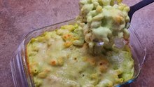 Ein gesundes und billiges Nudelrezept, für jede Familie ein Genuss mit wenig Zutaten