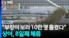 "부캉이 보러 10만 명 몰렸다"...상어, 8일째 체류 / YTN
