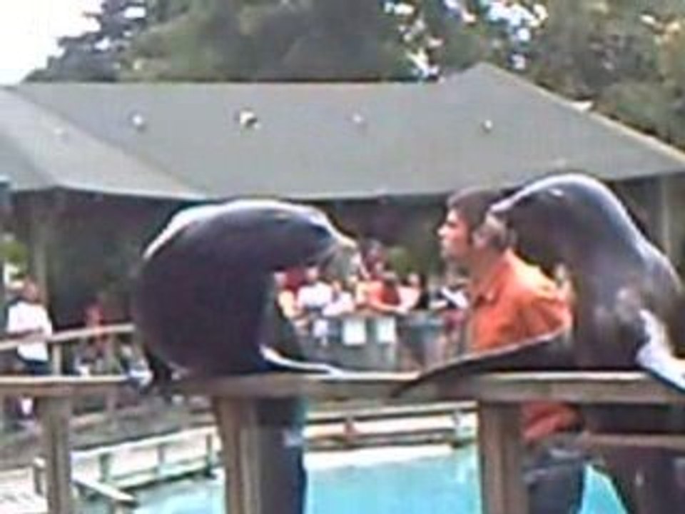 CLIP0009