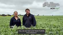 Australian Agriculture Awards: Nutrien NextGen Leader finalists Sam and Tayla Przibilla