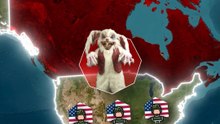 Пасхальный кролик захватил Исландию и США: анимационная история
