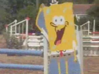 Concours 27 jullet 2008