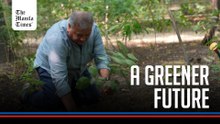 India's 'Tree Father' plants for a greener future