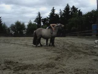 1ere révérence de Lutin sans aide