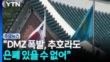청와대 "DMZ 폭발 새 루트 개척하다 발생" 조사 지연 일축 / YTN