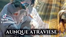 Confía: Tu provisión y descanso vienen de Dios 🌿