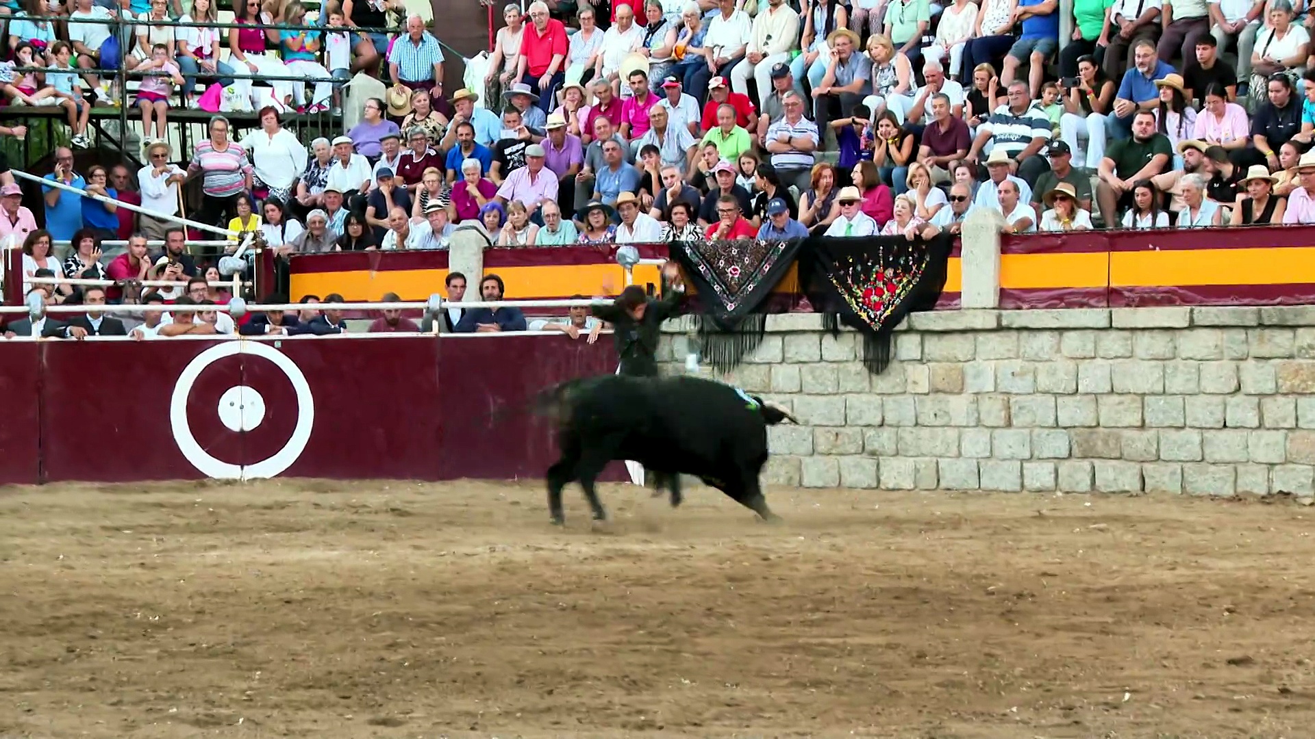 Festejos de Salamanca, Murcia, Riaza, El Barraco, Burgohondo y Logroño, entre otros