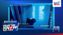 Shih Tzu, walang tiwala sa glass door? | WWKSF